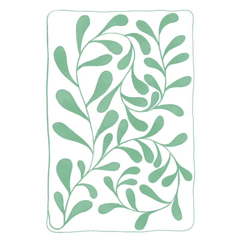 Eucalyptus Leaves