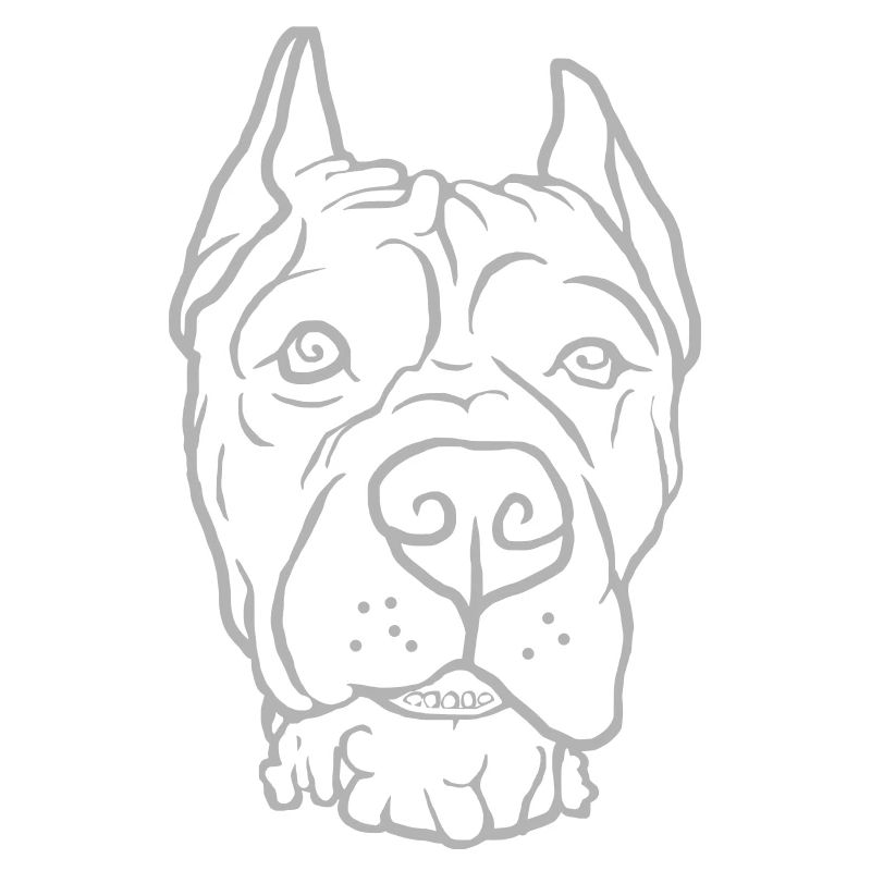 Cane Corso Kopf