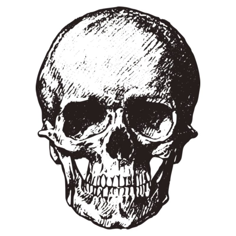 Vintage skulls
