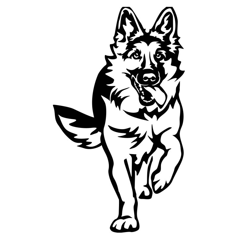 German Shepherd
