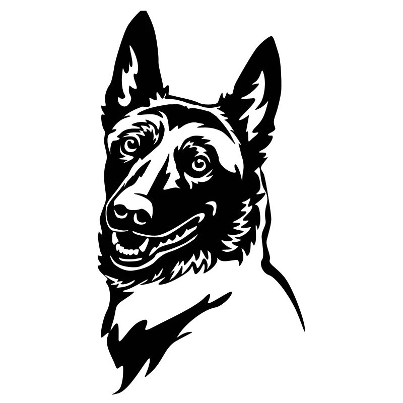 Malinois Head