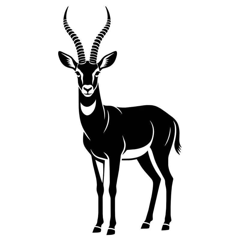 antelope