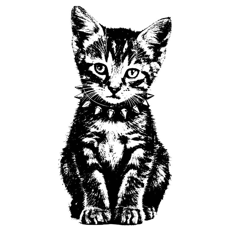 punk kitten