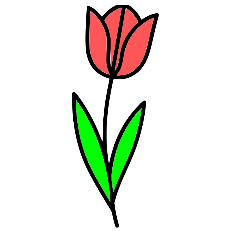 Tulip Flower Blossom Comic