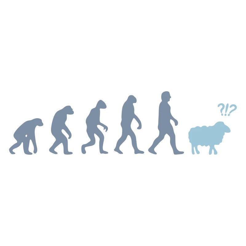 evolution mouton