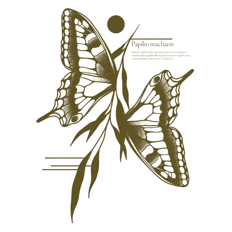 Papillon à queue d’aronde - Variante