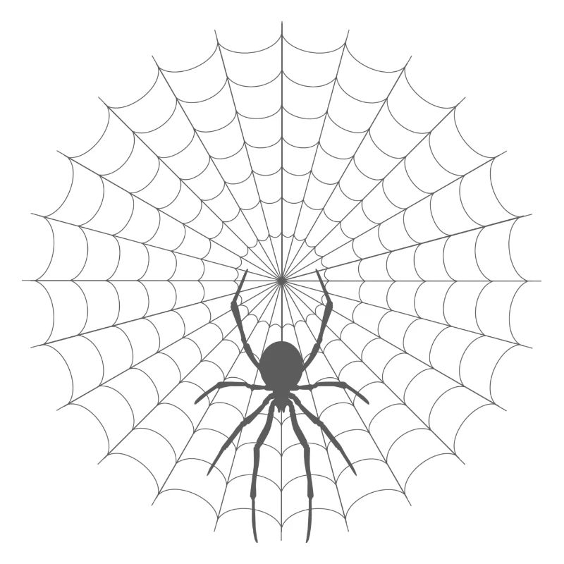 Spider Web Silhouette
