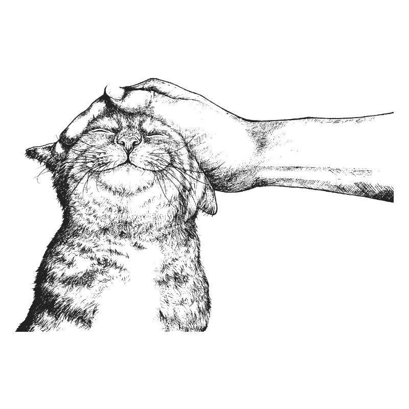DIE GLÜCKLICHE KATZE