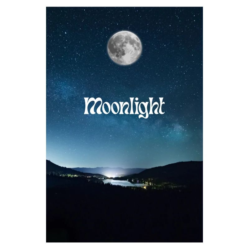 Gentle moonlit night with starry sky
