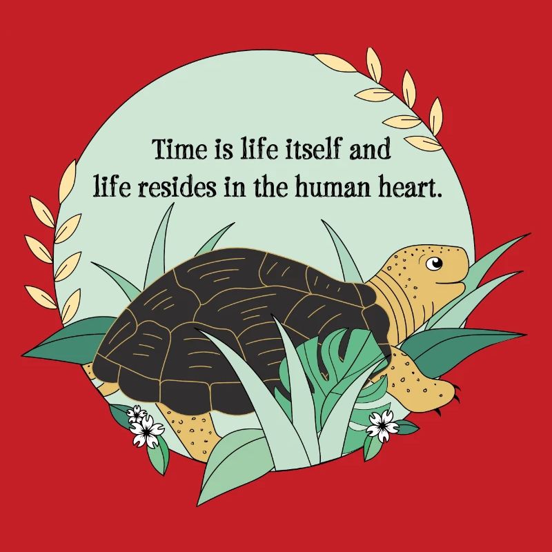 Turtle Cassiopeia