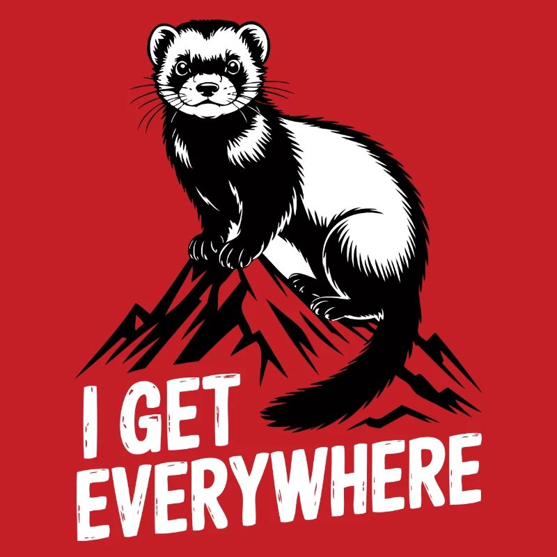 Frettchen, das ich überall bekomme