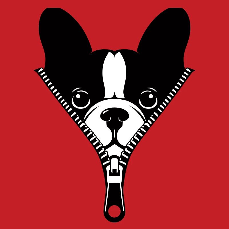 Bouledogue Français dans une fermeture éclair