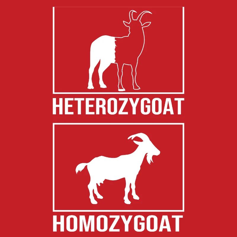 Formule structurale de la molécule