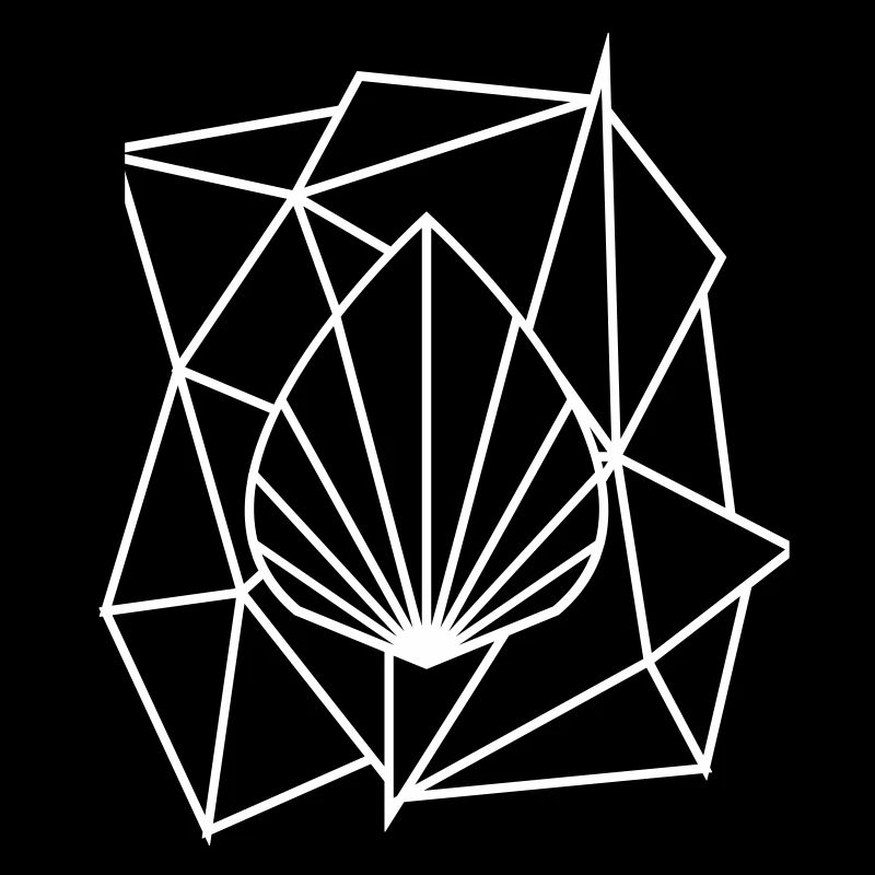 Polygon Augmented Logo