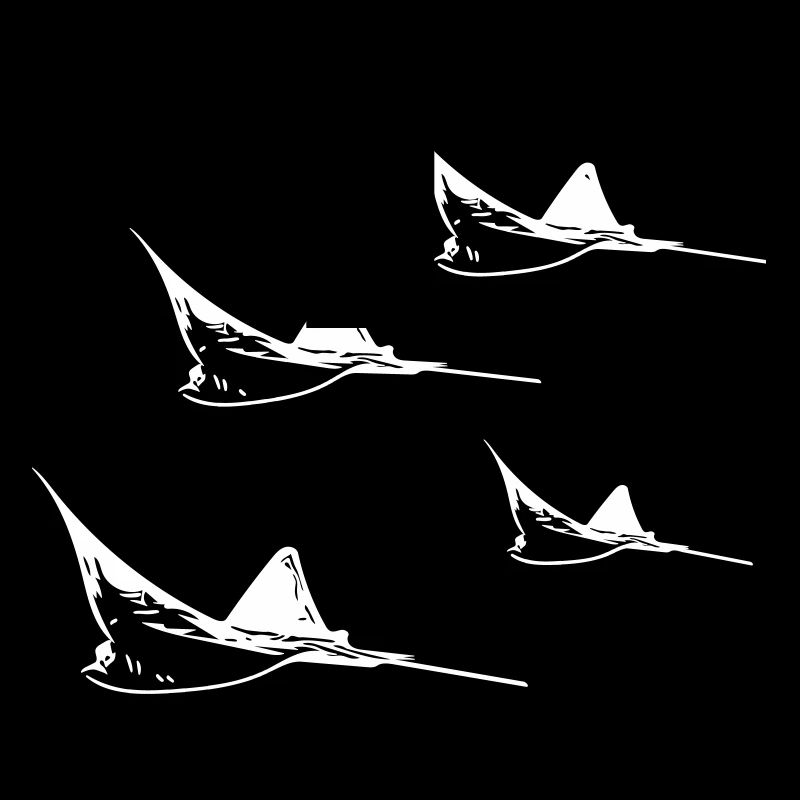 Formation de vol Eagle Ray
