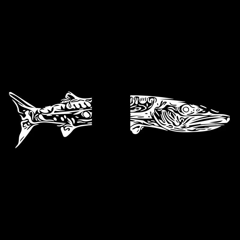 barracuda