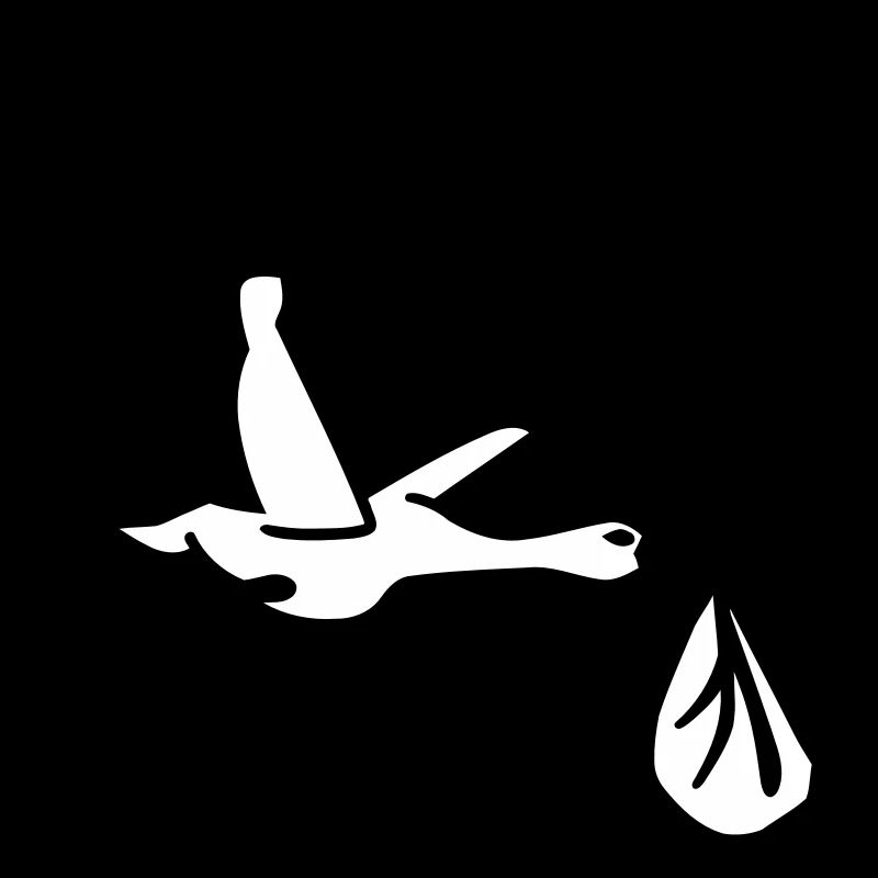 Stork