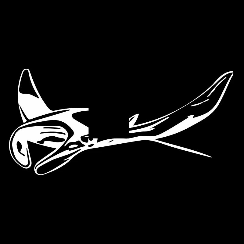 Manta Rays