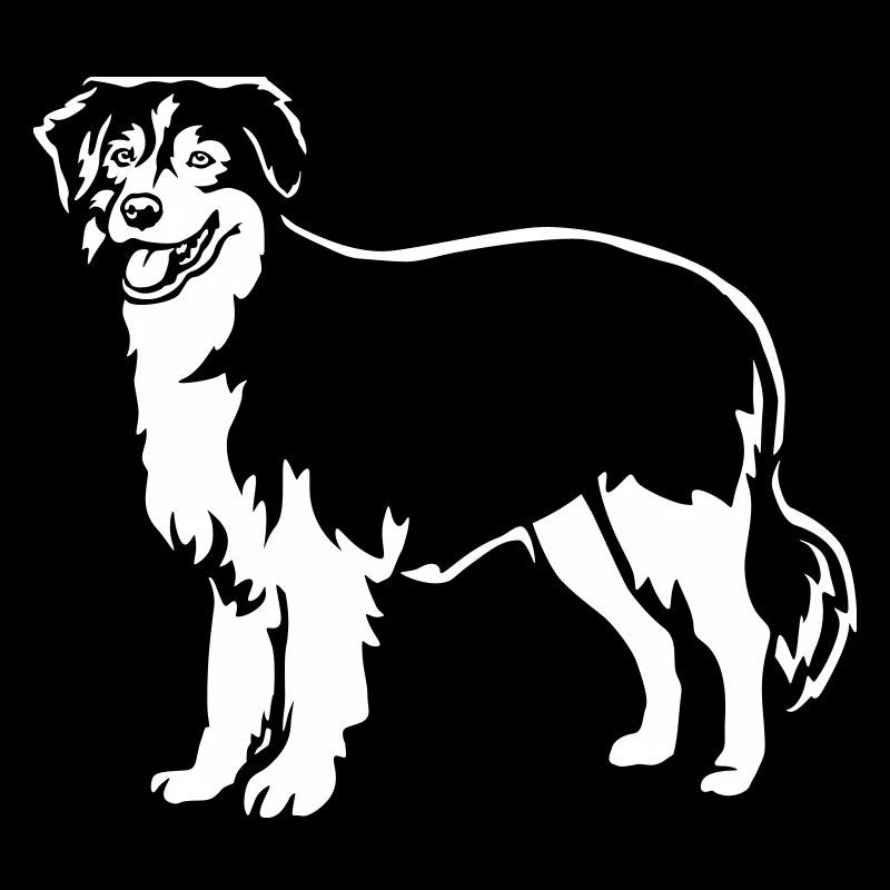 Australian Shepherd "Black Edition"