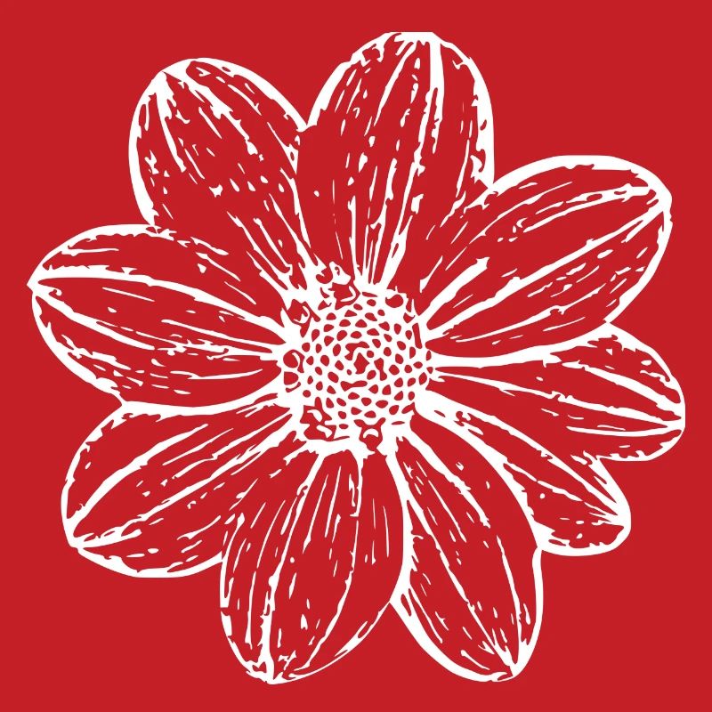 Fleur, Blanc, Fleur Blanche