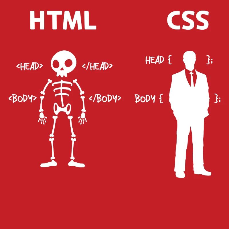 Code Css C++ Php Java Developer Code Skripting