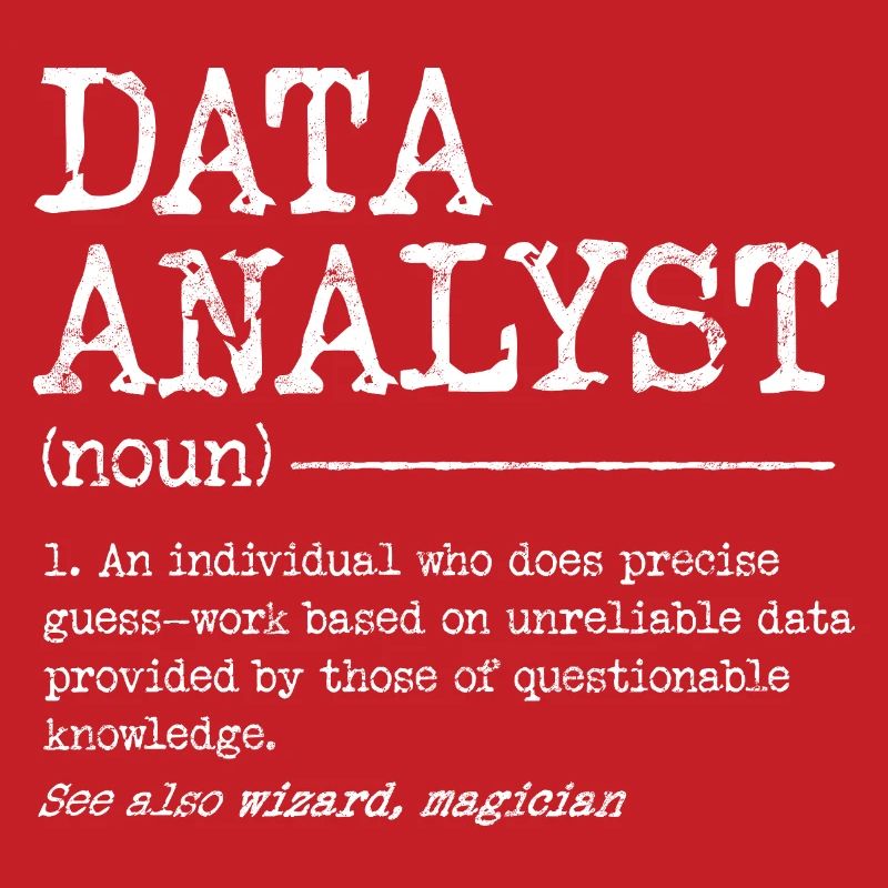Data Analyst Meme Tee