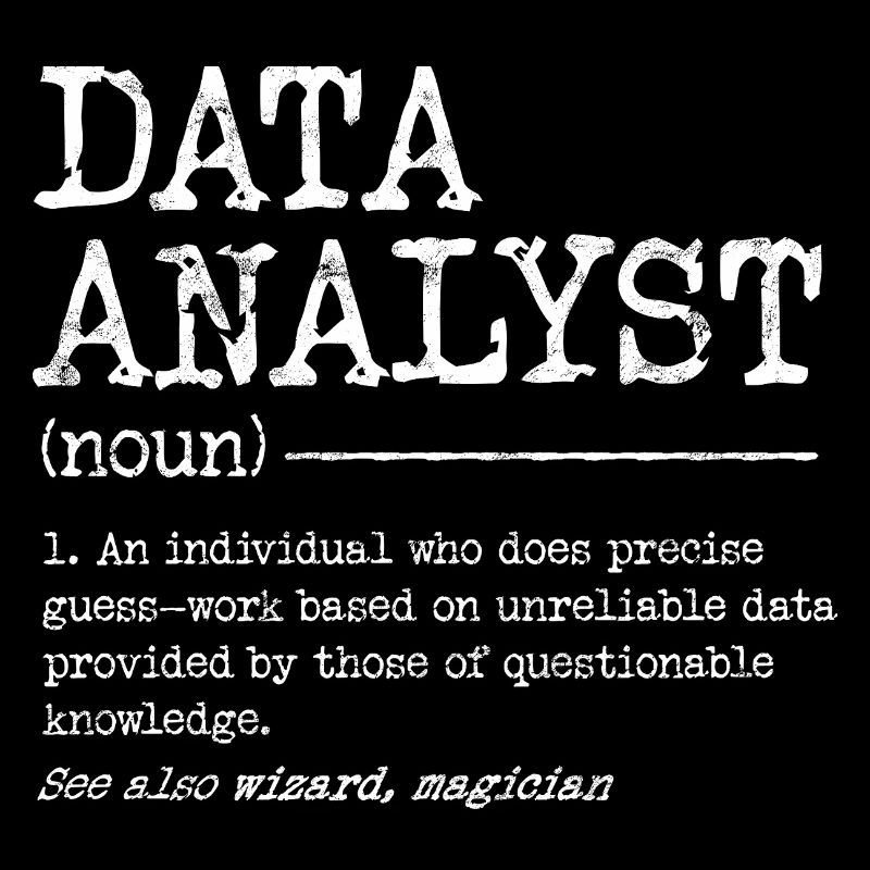 Data Analyst Meme Tee