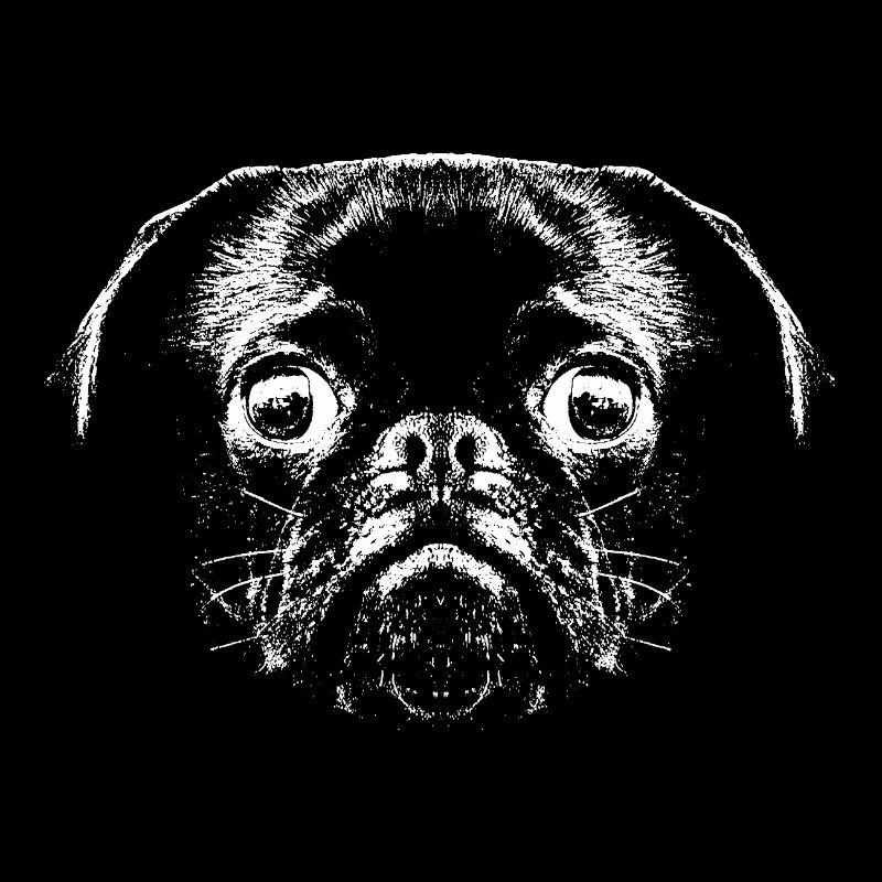 Pug / Face / Head