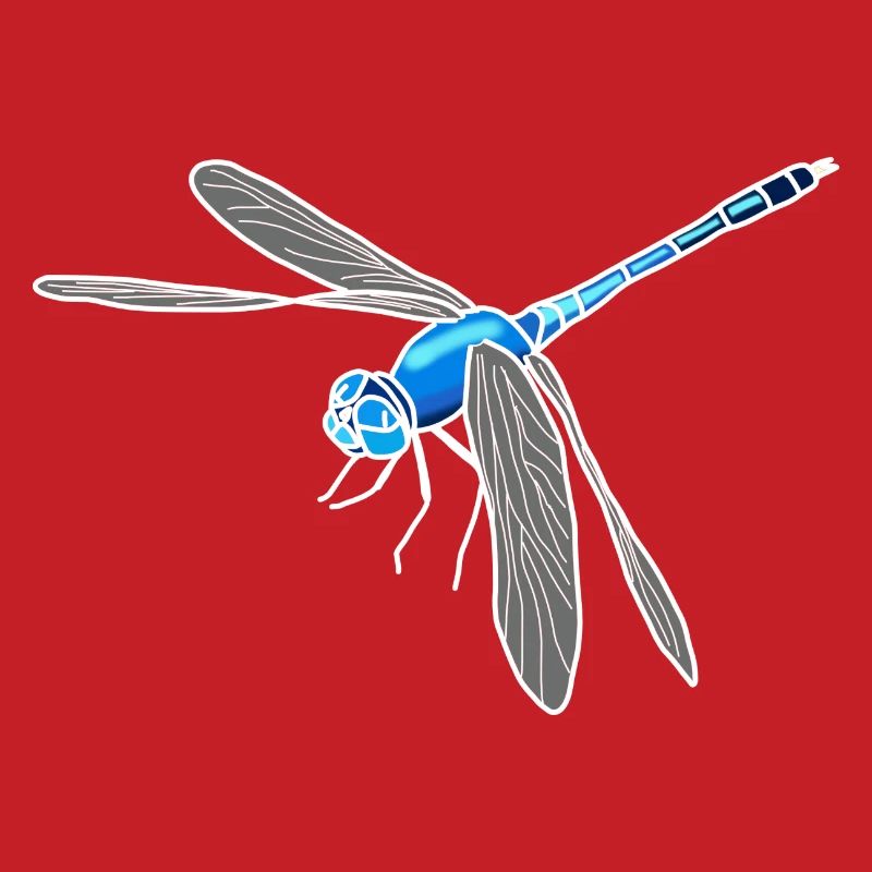 dragonfly