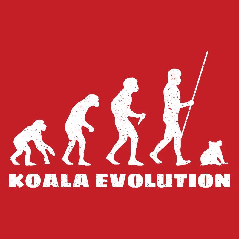 Koala Evolution