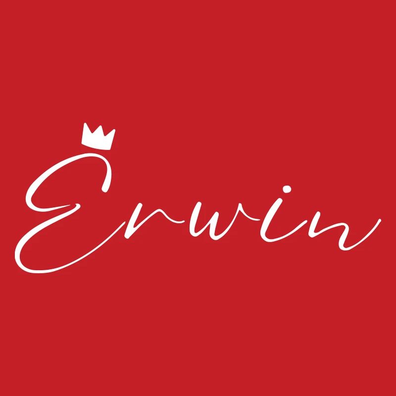 Erwin Nom avec E Nom de garçon Garçon Naissance Bébé Garçon