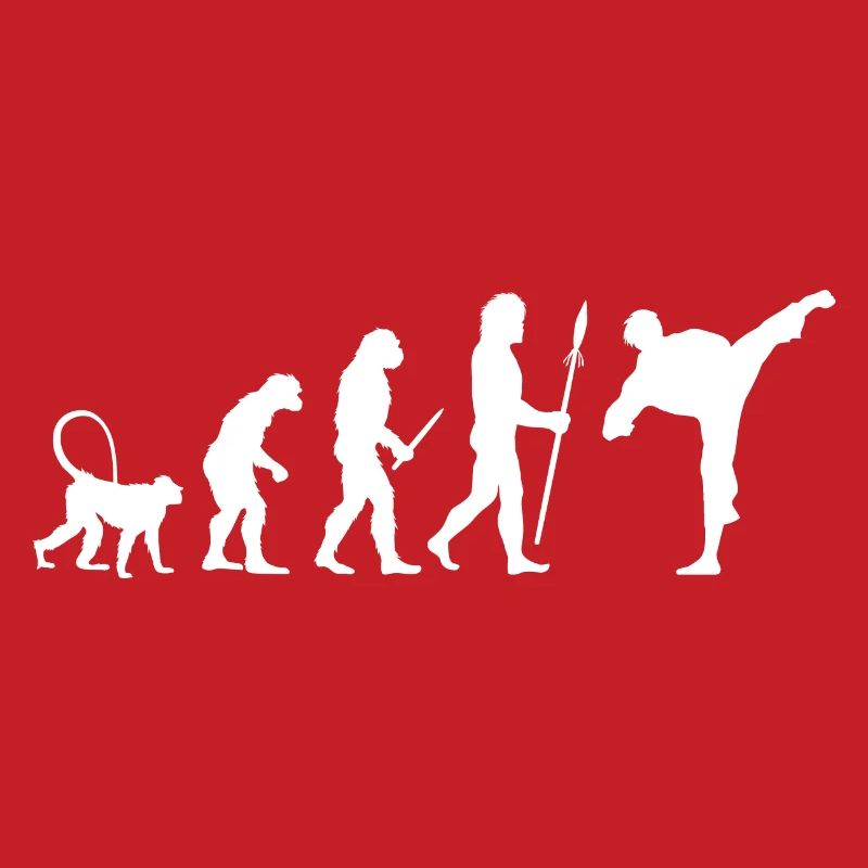 Évolution du karaté