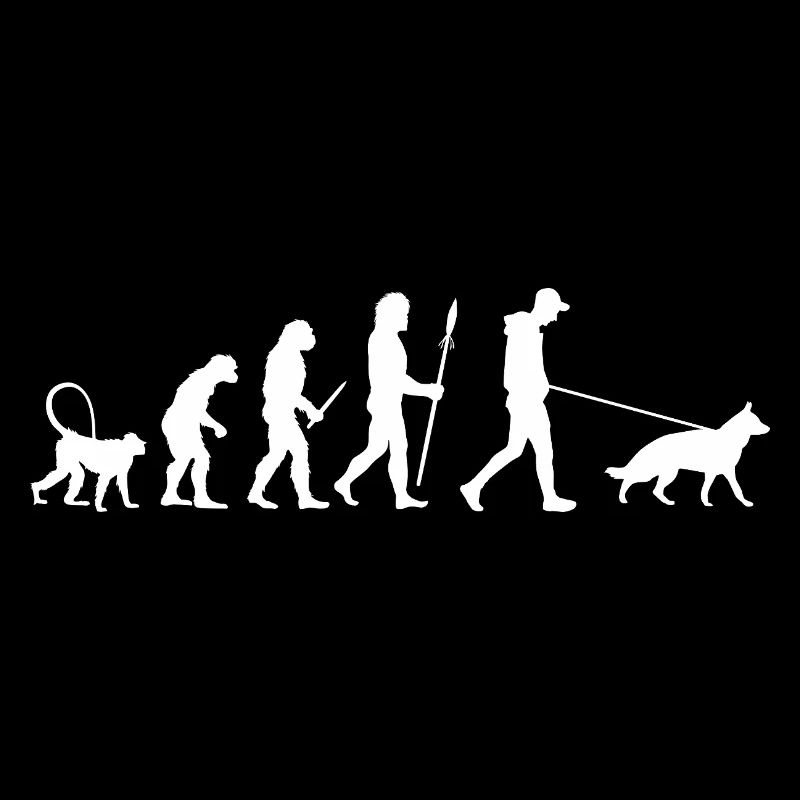 Évolution du berger allemand