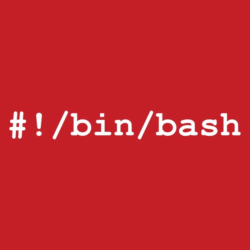 Bash / Bourne-Again Shell i Linux og Unix
