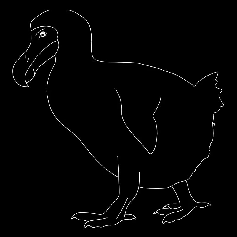Dodo