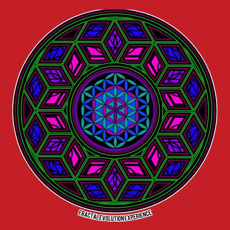 Expérience d’évolution fractale Kaléidoscope Mandala