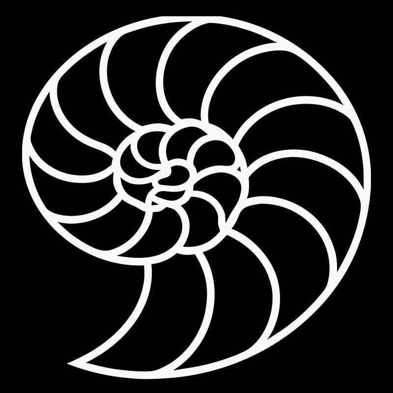 Weiße Nautilus-Spirale