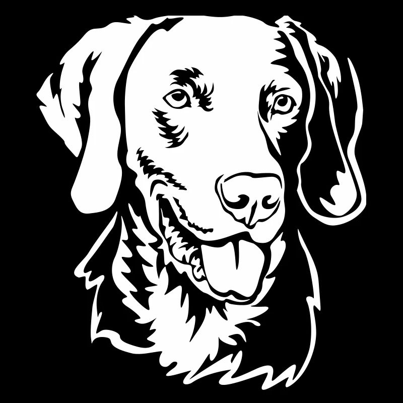 Weimaraner head "Black Edition"