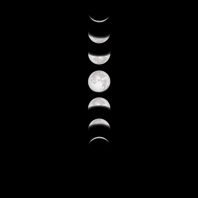 Moon Moon Moon Phases Full Moon Lunar Eclipse Total