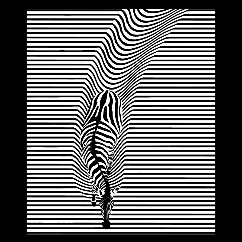 Zebra Kunst
