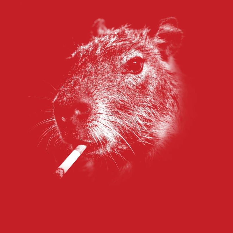 Rauchen, Zigarette, Capybara raucht eine Zigarette