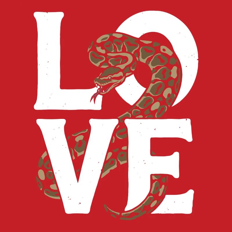 Königspython Schlangen LOVE Terrarium Python