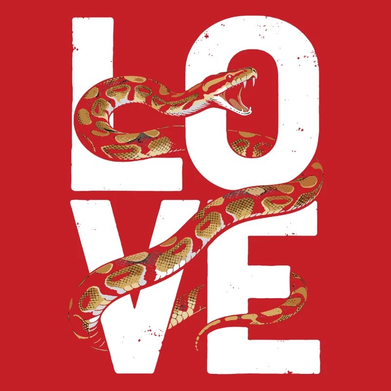 King Python Snakes LOVE Terrarium Python