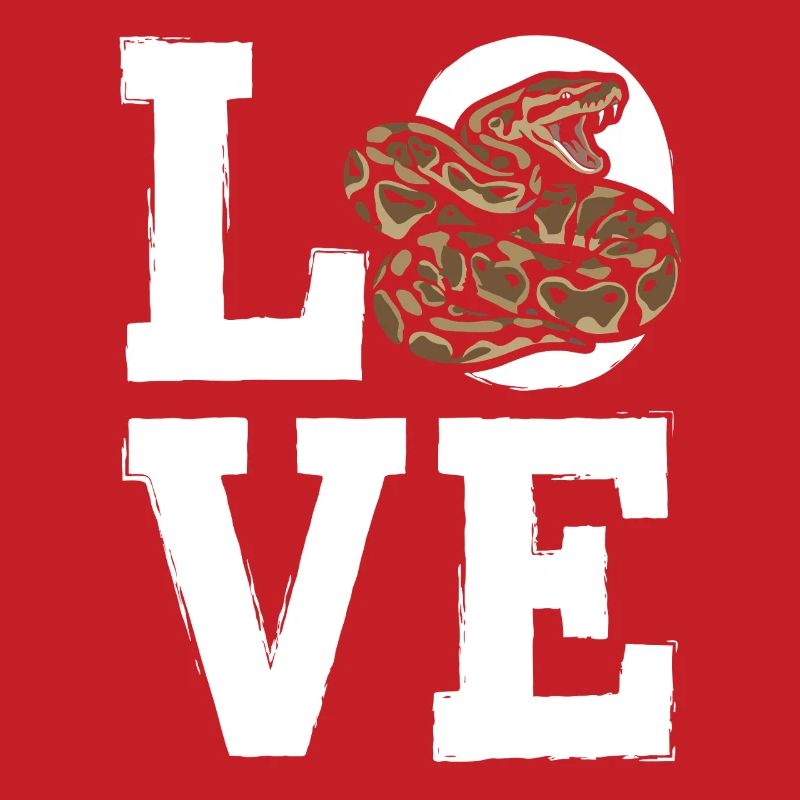 Königspython Schlangen LOVE Terrarium Python