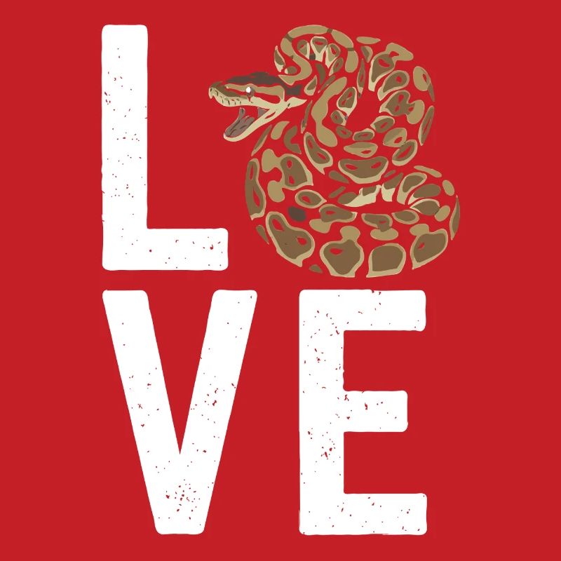 Königspython Schlangen LOVE Terrarium Python