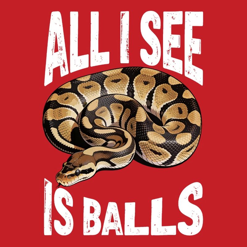 Python roi Serpents Amateurs de terrarium Python