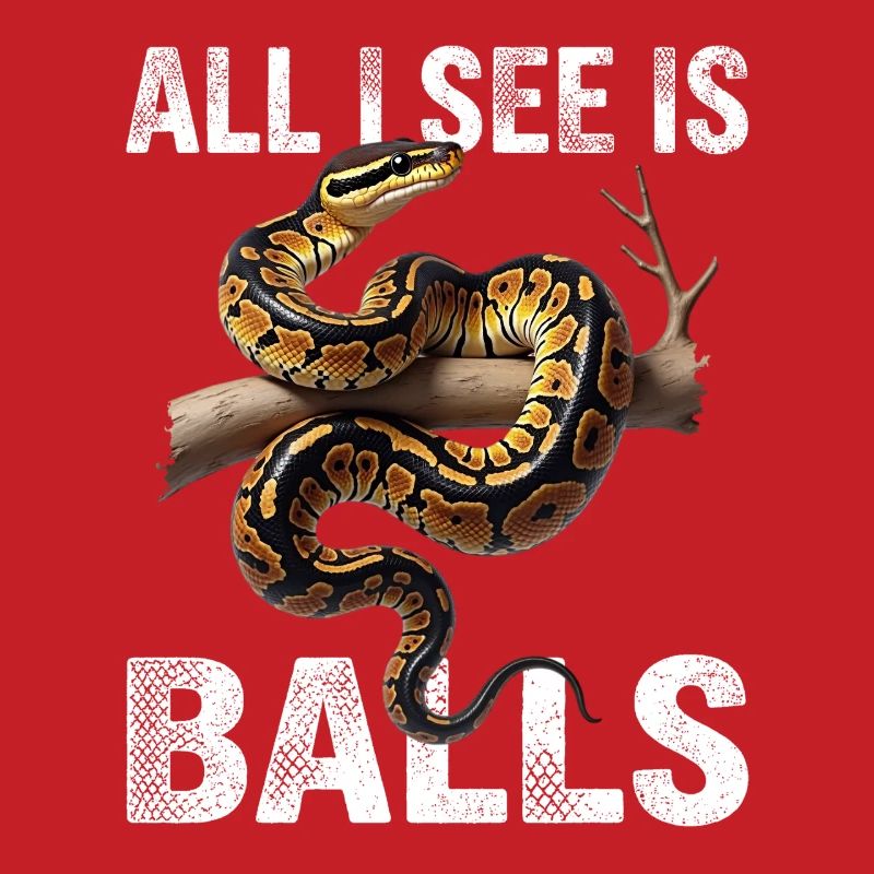 Königspython Schlangen Liebhaber Terrarium Python