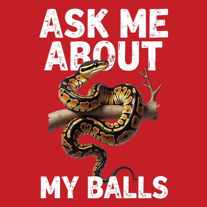 Python roi Serpents Amateurs de terrarium Python