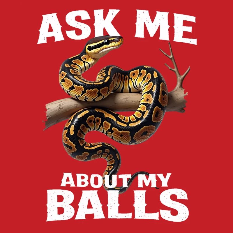 Königspython Schlangen Liebhaber Terrarium Python