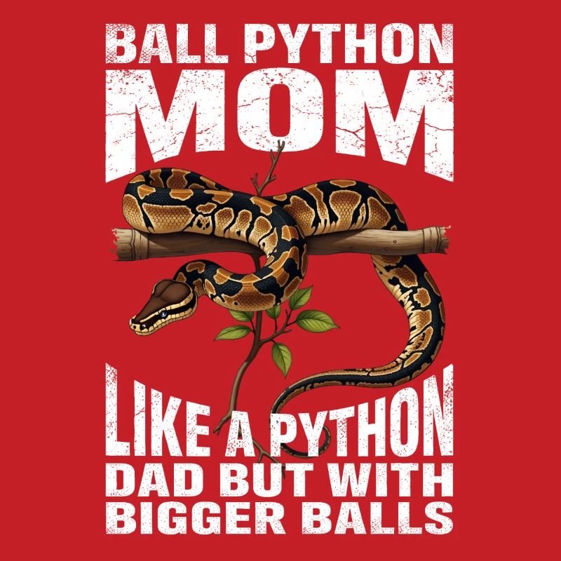 Königspython Mom Mama Schlangen Terrarium Python